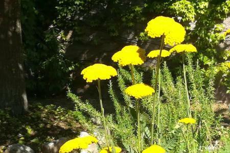 סולמונה B&B Villaggio Sole מראה חיצוני תמונה